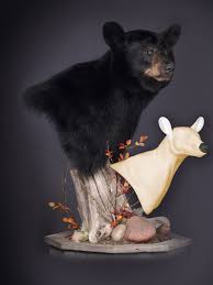 Black Bear Half Mounts Prices Pin By Kelly Osborne On Hunt Bear Mounts Black Bear Hunting Black Bear