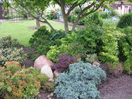 Pflanzen Unter Schattigen Baumen Schattengarten Pflanzen Garten