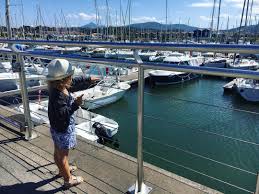 Pin On Le Blog De Maman Veille