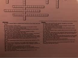 When you make a puzzle you like, print it from your browser or save it. Name Crossword Puzzle Heart Use The Terminology In Chegg Com
