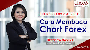 Cara Membaca Chart Pada Trading Forex