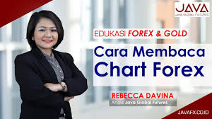 cara membaca chart pada trading forex