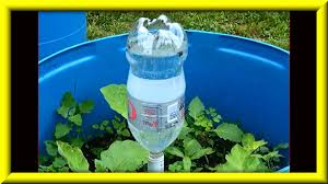 We did not find results for: Soda Bottle Watering System For Growing Plants In Containers Youtube
