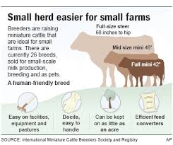 eco friendly beef spheres of sustainability