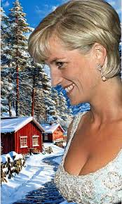 Beautiful lady Princess Diana