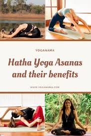 Hatha Yoga Asanas And Their Benefits Hatha Yoga Asanas Hatha Yoga Asanas
