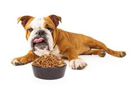 Quelle Quantite De Nourriture Doit Manger Mon Chien Alimentation Chien Nourriture Nourriture Chien