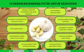 Cara menanam bawang putih kalau bawang putih di dapur habis, tinggal panen aja deh~. Bagaimana Bawang Putih Garlic Melawan Kanser Terapi Kanser