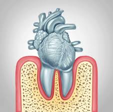 How Oral Health Affects Your Overall Health – The Connection Revealed