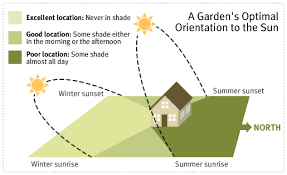 Smart Gardener Website Vertical Vegetable Garden Vegetable Garden Vegetable Garden Planning