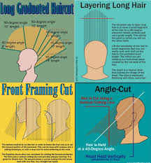 Comb the hair smooth toward the center of the section at the top of the head and twist it up into a knot and clip with a butterfly clip to secure it. Layer Cut Diagram Novocom Top
