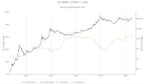 Top reasons why bitcoin hit an all time high price include investor interest in grayscale's gbtc, money printing and paypal's recent push. Last Time This Bitcoin Statistic Hit A New High Btc Surged 3 5x And It S Back