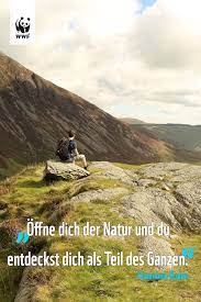 Zitat Zum Sonntag Spruche Zitate Lebensweisheiten Zitate Zitate