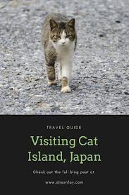 Exploring Cat Island Japan Tashirojima Travel Guide How To Get To Cat Island Cat Island Japan Japan Travel Japan