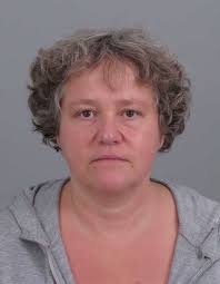 Afbeelding bij Silvain Wolf