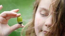 Zoë Devlin: our unofficial ambassador for weeds, wasps and wagtails
