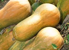 Epingle Sur Fruits Legumes