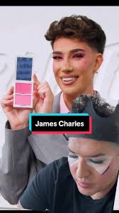 James charles Blush are Fine #jamescharles #painted #jamescharlespalette  #blush #richlux #makeupreview