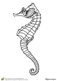 page 10 sur 12 hugolescargot com coloriage hippocampe dessin art d coloriages de novembre
