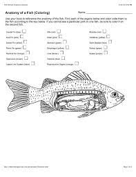 List of different fish parts with fish anatomy pictures and examples. Fish Internal Anatomy Coloring Apple