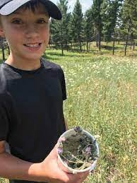 Celestine Duncan's Instagram, Twitter & Facebook