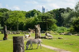 Don't miss out on great deals for things to do on your trip to leipzig! Ausflugstipp Ein Tag Im Zoo Leipzig Ausgabe
