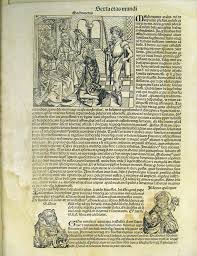 Image result for Epistemma neuerburgii