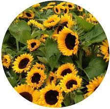 صور خلفيات تمبلر عبارات خواطر اقتباسات فضاء ادبيات شعر اشعار kdrama kpop exo cute wallpaper love قصائد كتب قصيد اكسبلور explore follow fo