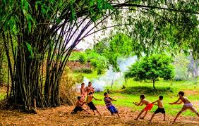 Kết quả hình ảnh cho cây tre