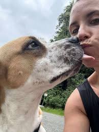 Foster homes needed for dogs in Vineland NJ area