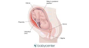 You're a victim of abuse, and its okay to feel upset and hurt by it. Occiput Posterior Position In Labor Babycenter