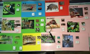 Pin Van Elise Vervoort Op Thema Suriname Thema Dieren Zoogdieren
