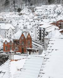 Image result for tbn:HAJQPRlydFYgGM::www.bildeforbilde.no/images/20_fauna/800_dompapp.jpg