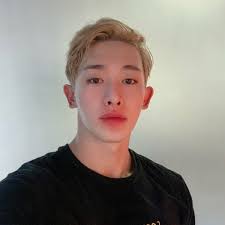 Discover 60 Wonho and monsta x wonho ideas