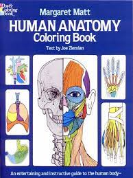 .pdf free download full version saunders veterinary anatomy coloring book pdf free, free human anatomy coloring book kaplan anatomy coloring coloring book answers free human anatomy coloring pages, free anatomy coloring book online free anatomy coloring book pdf kids, free. Human Anatomy Coloring Book Pdf
