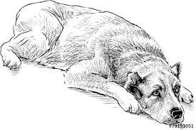 Choose from 80000+ dog sad drawing graphic resources and download in the form of png, eps, ai or psd. Sad Dog Drawing At Paintingvalley Com Explore Collection Of Sad Dog Drawing