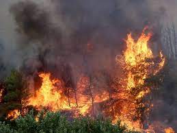 Μήνυμα του 112 για εκκένωση τεσσάρων οικισμών. Cv5kfujffqyvmm