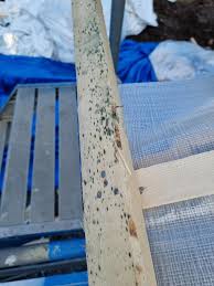 Image result for site:byggahus.se påväxt