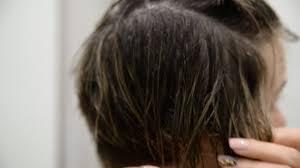 It takes a very long time for your scalp's natural oils to travel all the way to the tip of your hair follicles if. How To Blow Dry Hair With Pictures Wikihow