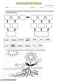 Photosynthesis diagrams worksheet answers in a learning moderate can be used to try pupils talents and knowledge by addressing questions. Photosynthesis Activity