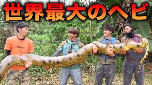 4k00:24authentic close up of neo mother and her. ä¸–ç•Œæœ€å¤§ã®è›‡ã®å¤§ãã•ãŒãŠã‹ã—ã„ä»¶ã«ã¤ã„ã¦ ã‚¢ãƒžã‚¾ãƒ³é å¾ep2 9 Youtube