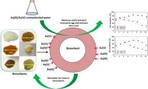 Exploring The Arsenic Removal Potential Of Various Biosorbents From Water Sciencedirect