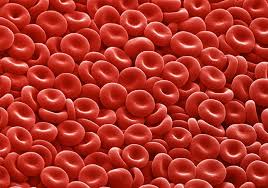 Maybe you would like to learn more about one of these? Cell Theory Definition And Examples Biology Dictionary