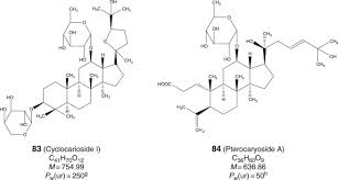 Image result for Dioscoreophyllum