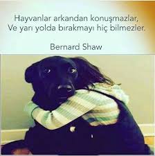 Deniz Adli Kullanicinin Ozlu Sozler Panosundaki Pin Hayvan Sozleri Hayvanlar Hayvan Haklari