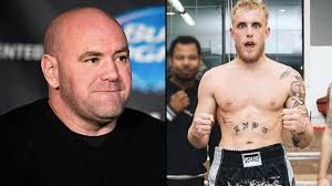 *socks him right in the eye*. Ufc S Dana White Explains Why He Ll Never Work With Jake Paul On A Fight Dexerto