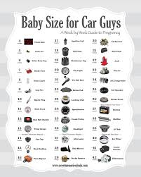 27 Expository Sizes Of Baby In Pregnancy