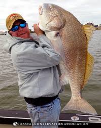 Pin By Bigotes On Fish Pics Fishing Outfits Fish Saltwater Fishing