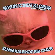 Yar Ben Belaliyam Texting 2020 Komik Filmler Komik Seyler Komik Capsler