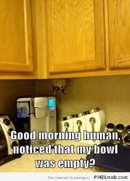Pin On Pmslweb Funnies